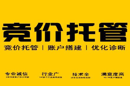 案例分享：百度推广助力企业实现多元化发展